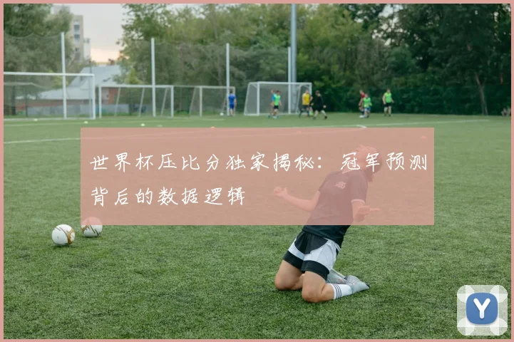 世界杯压比分独家揭秘：冠军预测背后的数据逻辑