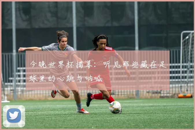 今晚世界杯揭幕：听见那些藏在足球里的心跳与呐喊