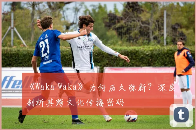 《Waka Waka》为何历久弥新?深度剖析其跨文化传播密码
