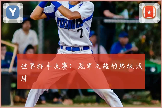 世界杯半决赛:冠军之路的终极试炼