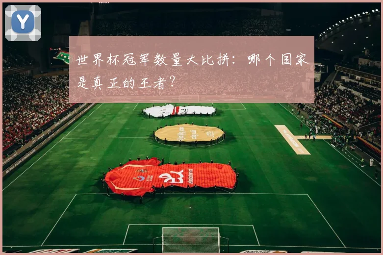 世界杯冠军数量大比拼：哪个国家是真正的王者？