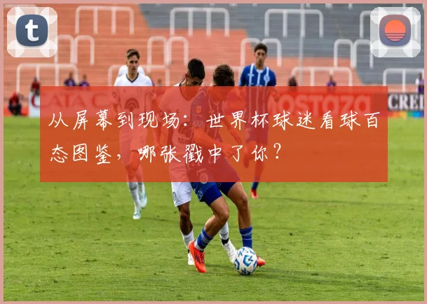从屏幕到现场：世界杯球迷看球百态图鉴，哪张戳中了你？